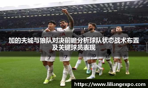 加的夫城与狼队对决前瞻分析球队状态战术布置及关键球员表现