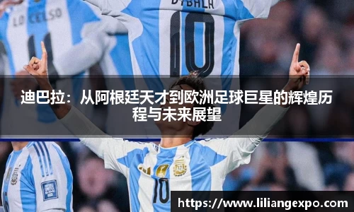 QY球友会官网